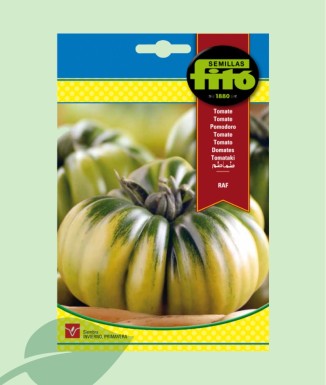 Semillas Tomate RAF Fitó 3g | Tomate Gourmet Crujiente y Dulce