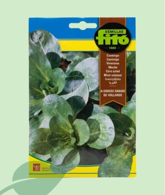 Semillas Canónigos Fitó 8g | Hoja Verde Clara y Sabor Suave