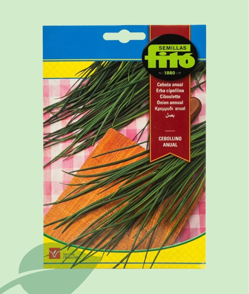 Llavors Cibolet Fitó 2g | Planta Aromàtica i Vivaç