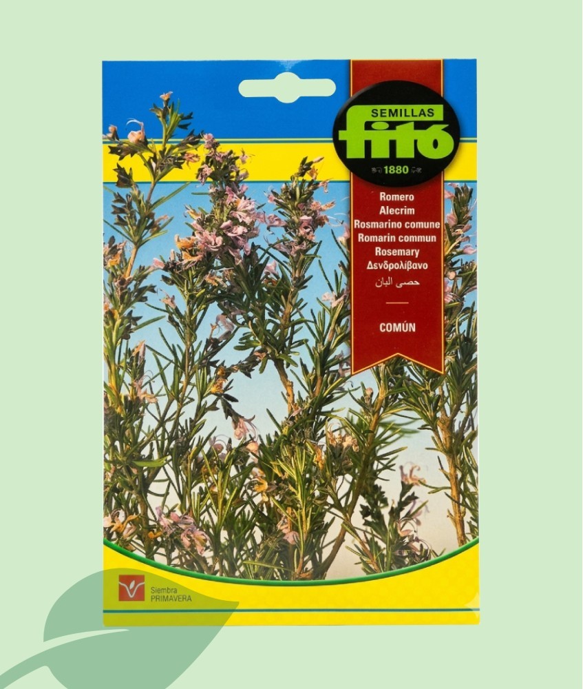 Semillas Romero (Romaní) Fitó 0.2g | Planta Aromática y Medicinal