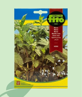 Semillas Menta Verde Fitó 0.2g | Planta Aromática Vivaz