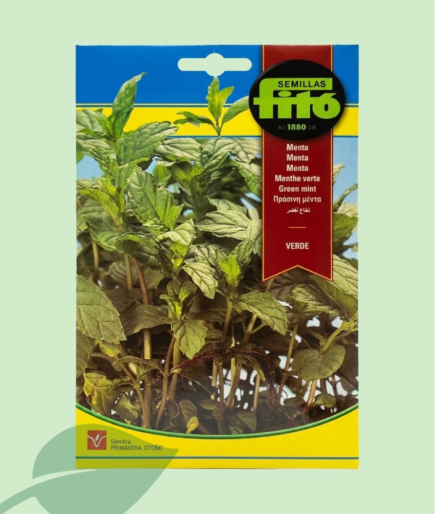 Semillas Menta Verde Fitó 0.2g | Planta Aromática Vivaz