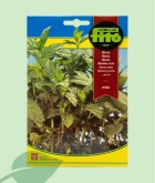 Llavors Menta Verda Fitó 0.2g | Planta Aromàtica Vivaç
