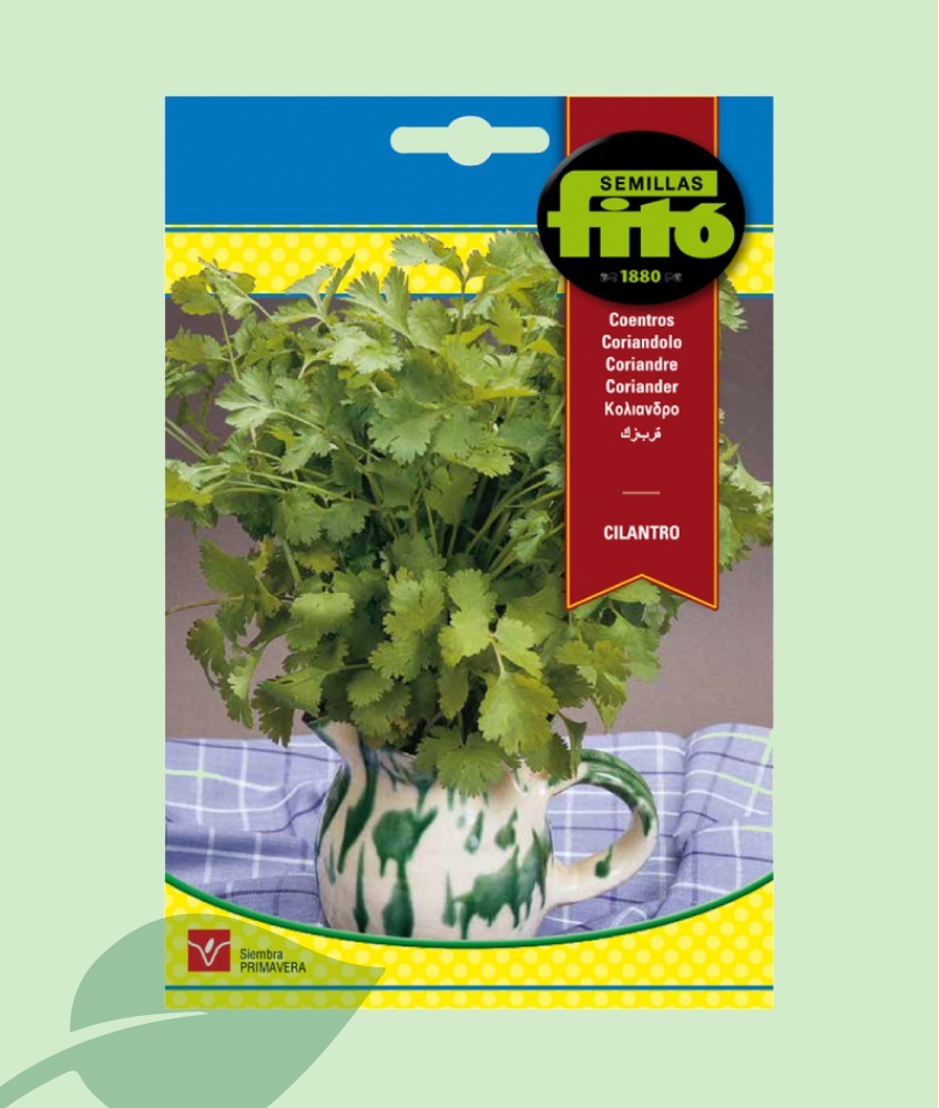 Llavors Coriandre / Cilantre Fitó 20g | Planta Aromàtica i Espècia