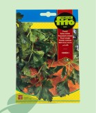 Semillas Perejil Común Hoja Lisa Fitó 20g | Aromática Imprescindible