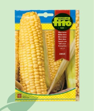 Llavors Blat de Moro Jubilee Fitó (10g) | Moresc Dolç