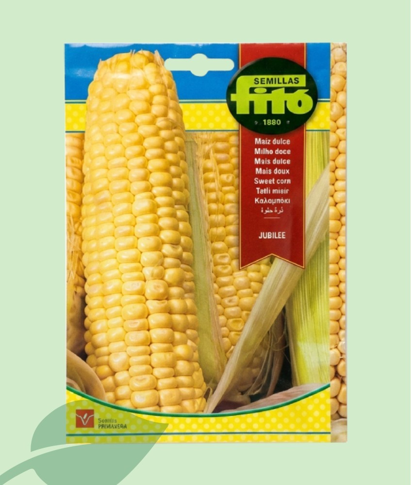 Llavors Blat de Moro Jubilee Fitó (10g) | Moresc Dolç