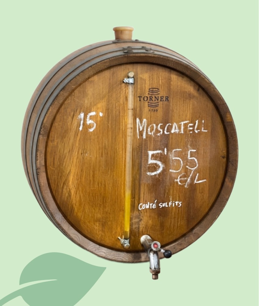 Vino Moscatel a Granel Garrafa 2L y 5L | Vino Dulce Licoroso