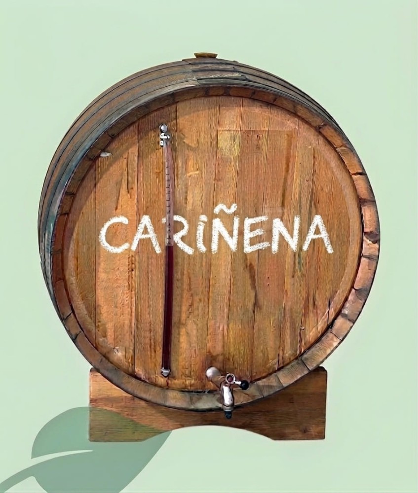 Vino Cariñena / Carinyera Garrafa 2L y 5L | Vino Tinto a Granel