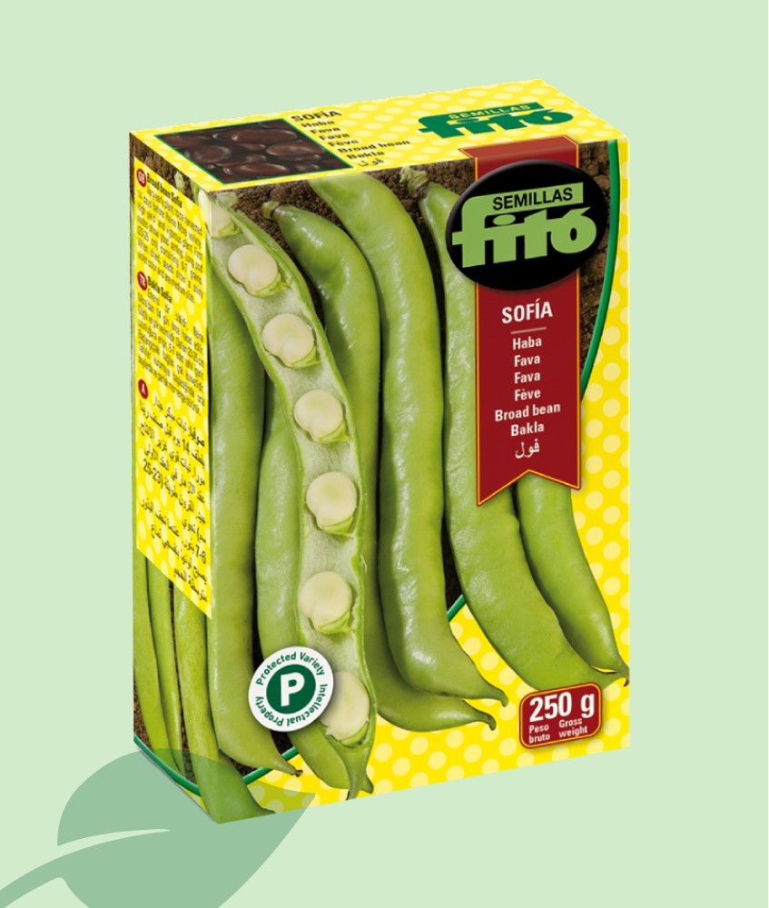 Semillas Haba Sofia Muchamiel 250g | Fitó Llavor Precoz