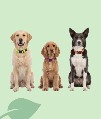 Rogz Collar Classic HB19 para Perros Grandes
