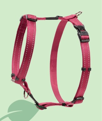 ROGZ Classic Harness - Arnès Ajustable per a Gossos