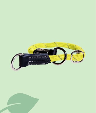 ROGZ ROPE – Collar para Perro | Agricaldes