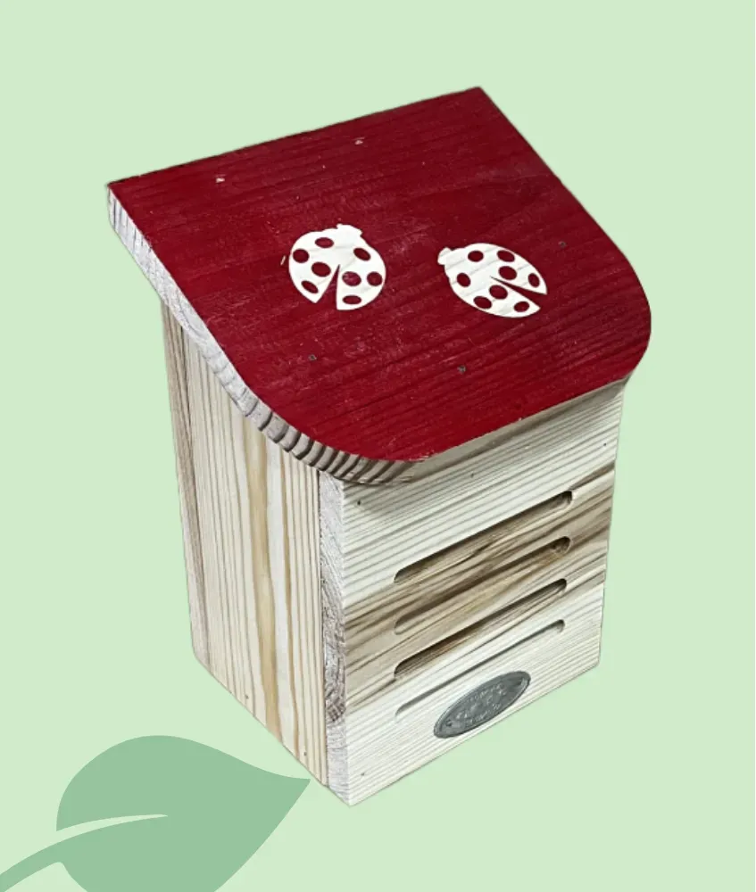 Caseta WILD ON WILDLIFE con diseño de mariquitas