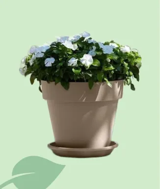 Maceta Mitu Pac 20 cm – maceta plàstica amb drenatge