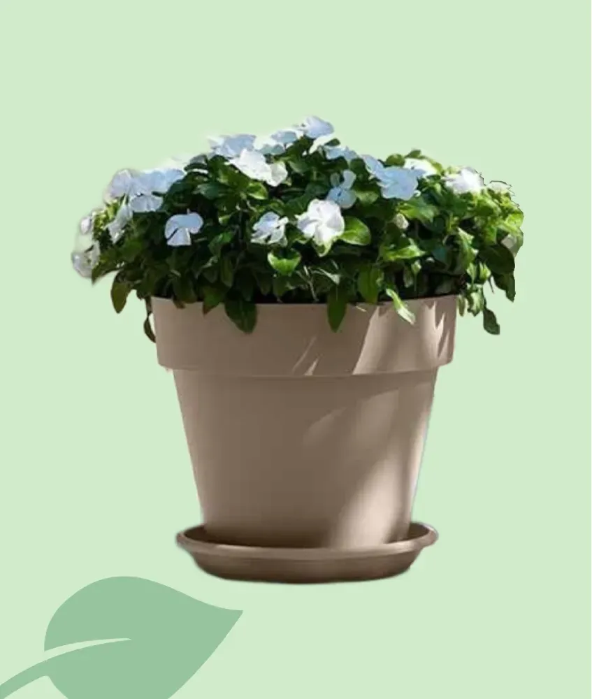 Maceta Mitu Pac 20 cm – maceta plástica con drenaje