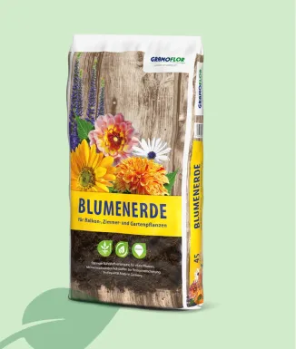 Gramoflor Blumenerde – substrat universal 5 L, 10 L, 20 L, 45 L