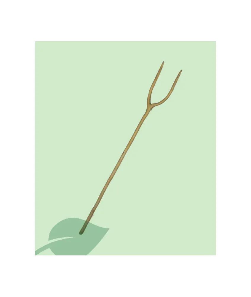 Forca de Jardín de Madera de Lledoner – 2 Púas