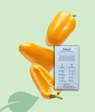 Llavors pebrot groc Canyamars 250 g | L’era