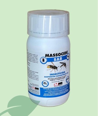 Insecticida Massocide SAP potent – Control eficaç de plagues
