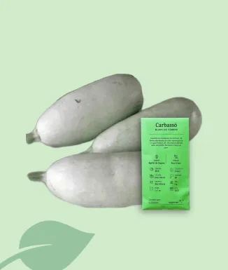 Llavors de Carbassó Blanc de Correr Ecològiques