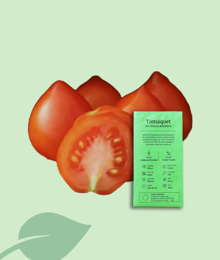 Llavors Tomàquet de penjar bombeta – varietat local