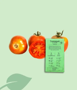 Semillas Tomàquet de penjar ecológico – variedad local