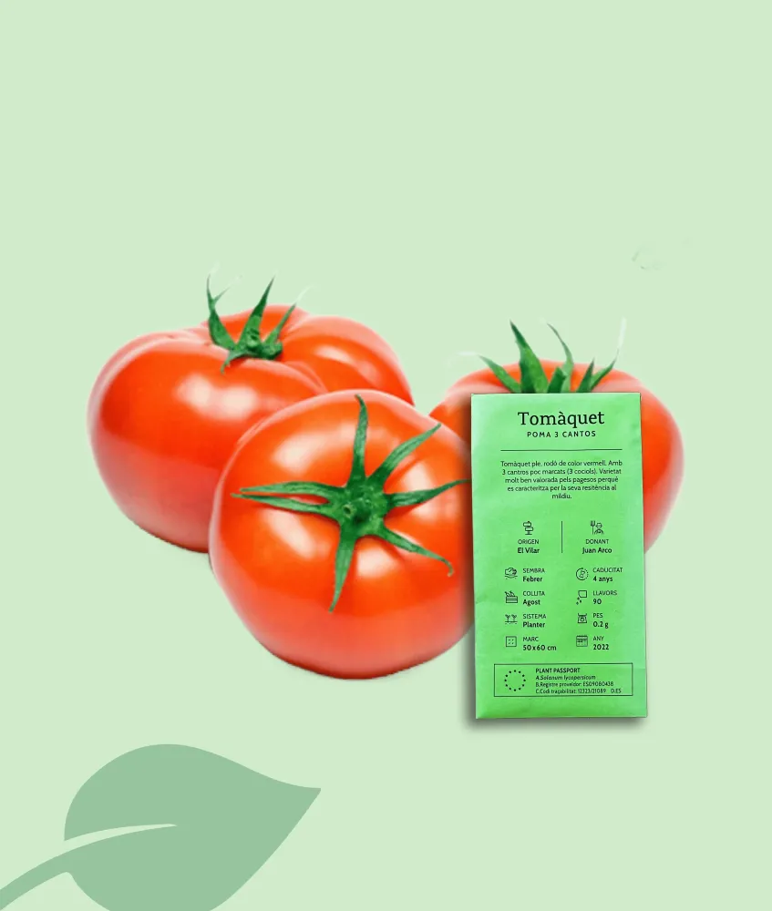 Llavors tomàquet Poma Tres Cantos – ecològic i local