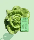 Llavors ecològiques Enciam Carxofet de l’Espà – varietat local