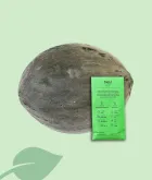 Llavors de Meló Pelut Ecològiques – Varietat Local