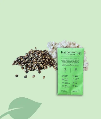 Semillas de maíz azul para palomitas – local y ecológico