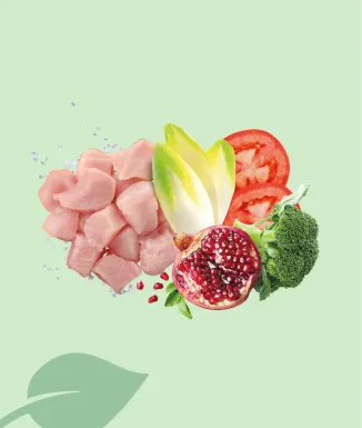 Exclusion Light Pollastre 12 kg – pinso light per a gossos mitjans/grans