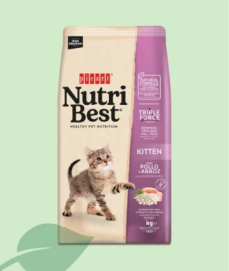 Nutribest Kitten Pollo y Arroz Pienso Gatitos 2 kg / 8 kg