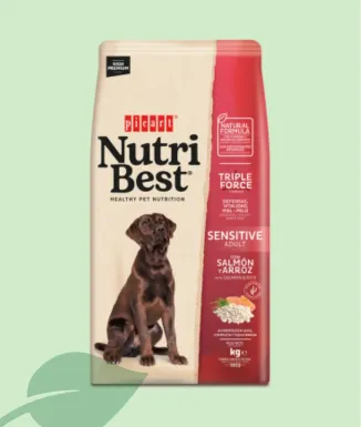 Nutribest Adult Sensitive Salmón y Arroz Pienso Perros