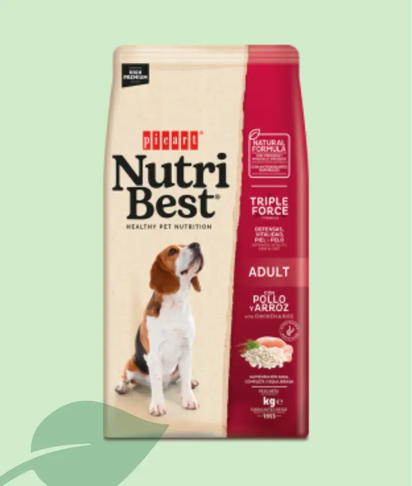 Nutribest Adult Chicken & Rice Pienso para Perros