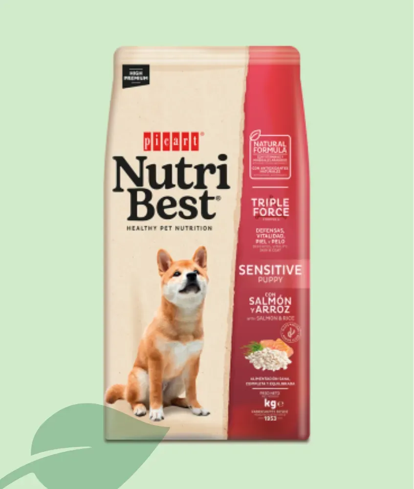 Nutribest Puppy Sensitive Salmón y Arroz Pienso Cachorros