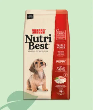 Nutribest Puppy Chicken & Rice Pienso para Cachorros