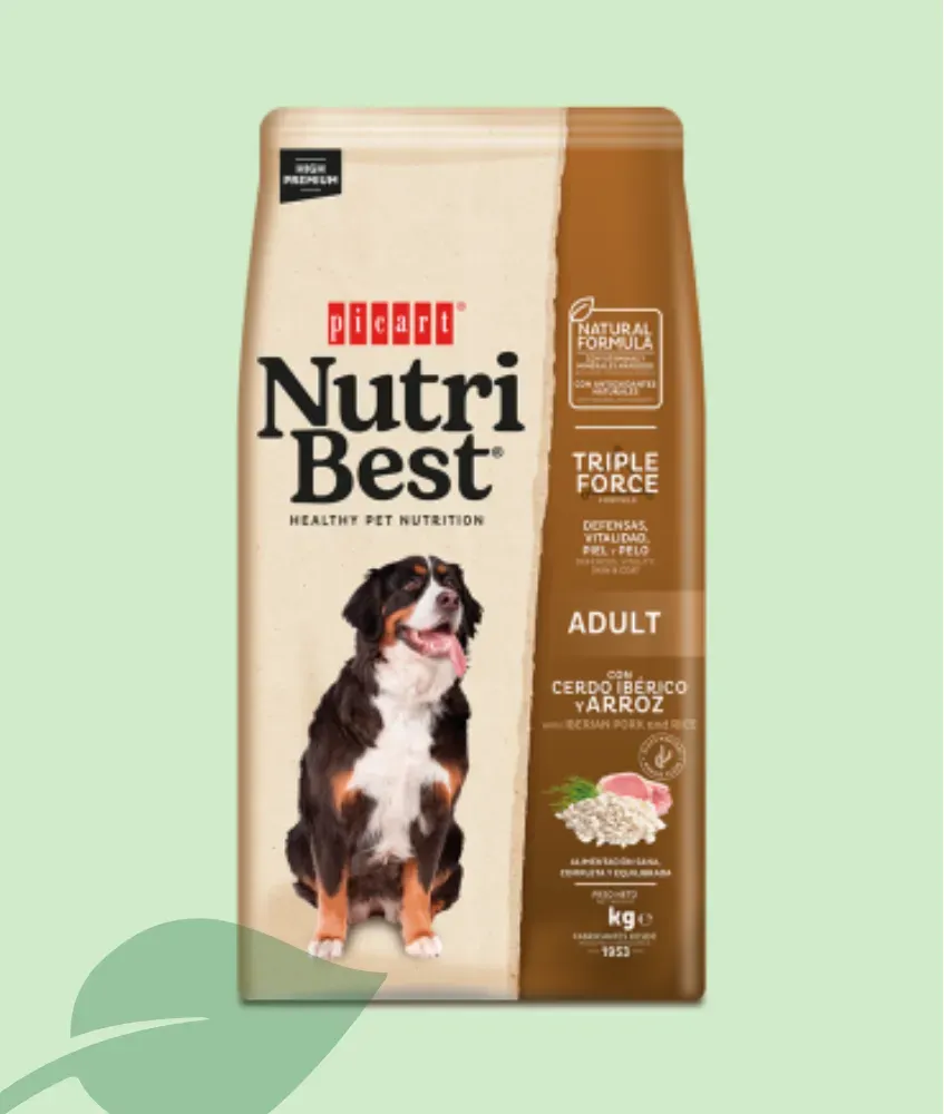 Nutribest Adult Iberian Pork & Rice Pienso Perros
