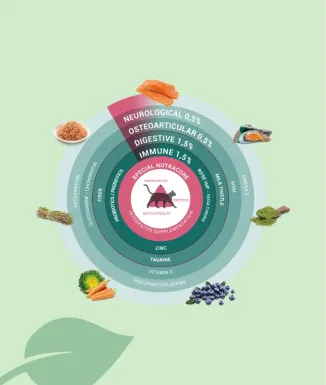 Pinso Ooskels 81% Sterilized Salmon Gats Esterilitzats