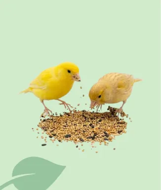 Placias Mixtura Canaris Aliment per a Canaris 5 kg