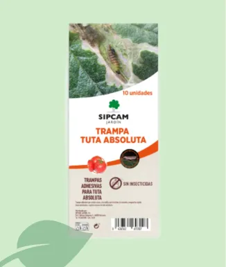 Trampa Cromàtica Sipcam Tuta Absoluta – Control de Plaga