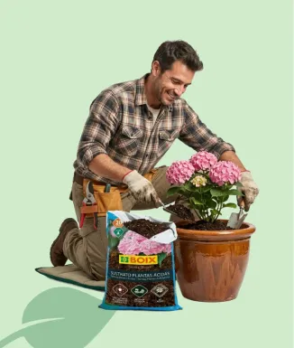 Boix Substrat Plantes Àcides 20 L Hortènsies Azalees