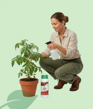 Sabó Potàssic Sipcam Relevant-Oil 500 ml Insecticida Natural per a Plantes