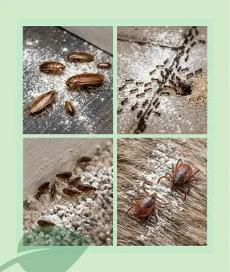 Sipcam Avidust Insecticida Rastrers 1 kg Permetrina