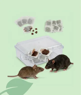 Novar Raticida Pasta 150 g Esquer per Rates i Ratolins