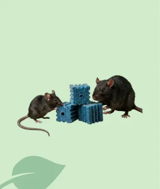 Novar Block Brodifacoum 300 g Raticida en Bloc