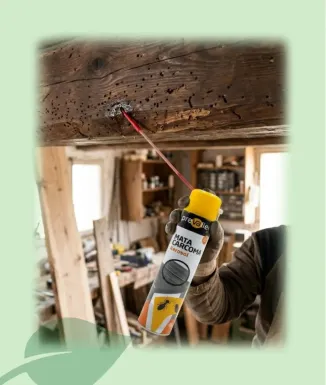 Prevalien Mata Corc Spray 650 ml Anticorc Fusta