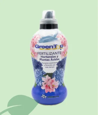 Green Top Adob Hortènsies 1 L Plantes Àcides