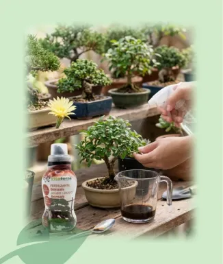 Green Top Adob Líquid Bonsais 250 ml Fertilitzant