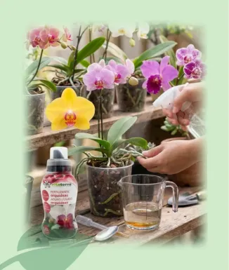 Green Top Abono Orquídeas 250 ml Fertilizante Líquido